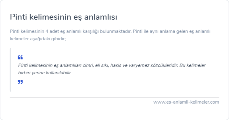 Pinti eş anlamlısı ne?